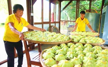 ?？冢合闼徎ㄇ逑闼囊珩T塘村民嘗到致富“甜頭”
