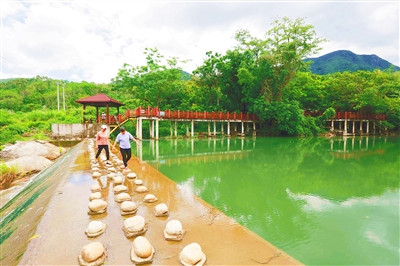 昌江大章村結合木棉景觀，發(fā)展旅游觀光業(yè)