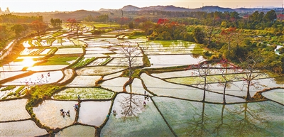 春耕時節(jié)，昌江多措并舉保障春耕生產(chǎn)