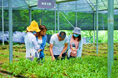海口將打響?？诨鹕绞放疲苿邮a(chǎn)業(yè)發(fā)展