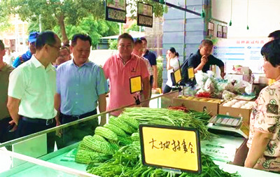 符鳴鼓勵農(nóng)戶積極參與菜籃子工程建設(shè)，實現(xiàn)增收
