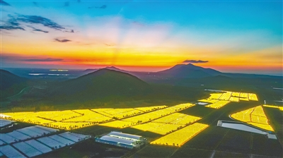 昌江：火龍果基地，補光燈加速生長、提前開花掛果