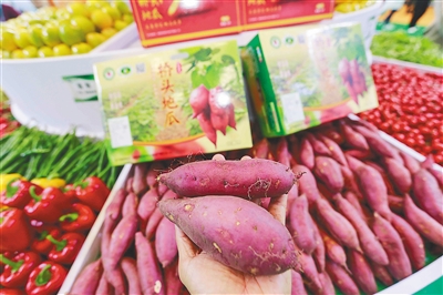 澄邁：新形象，富硒元素成特色農(nóng)產(chǎn)品“賣點(diǎn)”