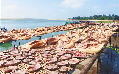 昌江麻魚網(wǎng)：產(chǎn)于咸淡水交界海域，肉細嫩鮮美