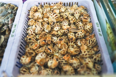 文昌東風(fēng)螺遠(yuǎn)銷全國(guó)各地，出口東南亞地區(qū)