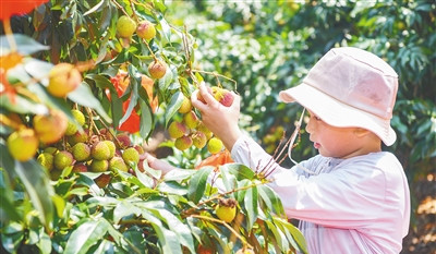海墾：“一場(chǎng)一品”打破“小散弱”，發(fā)展農(nóng)業(yè)全產(chǎn)業(yè)鏈